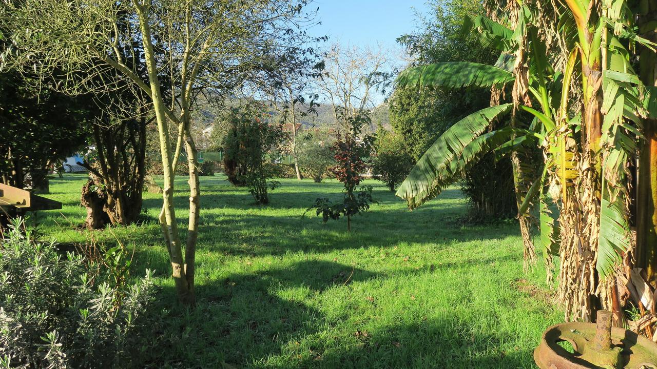 קסטרו אורדיאלס Posada Casa Rosalia מראה חיצוני תמונה