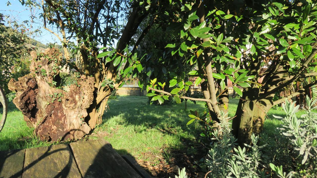 קסטרו אורדיאלס Posada Casa Rosalia מראה חיצוני תמונה